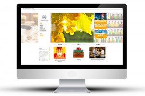 connectus-diseño-web-marketing-online-seo-todoexperiencias